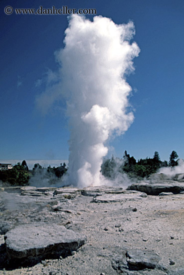 rotorua-guyser-2.jpg