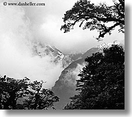images/NewZealand/Routeburn/mtns-n-trees-bw.jpg