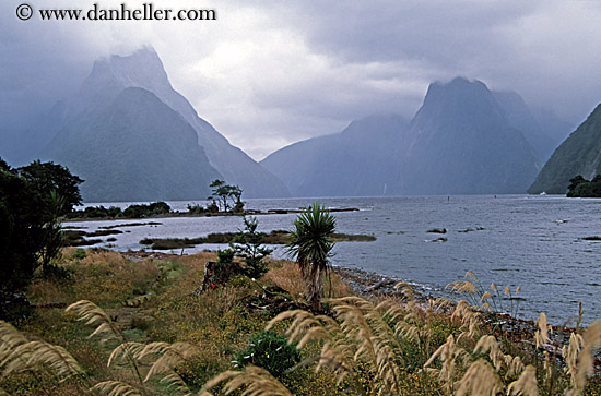 milford_sound-2.jpg