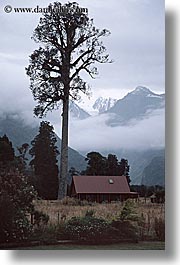 images/NewZealand/Scenics/tree-n-house-mtns-fog.jpg
