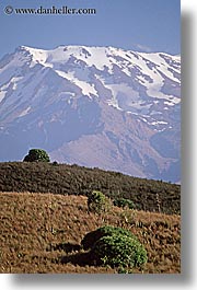 images/NewZealand/TongariroCrossing/mt-ruapehu-01.jpg
