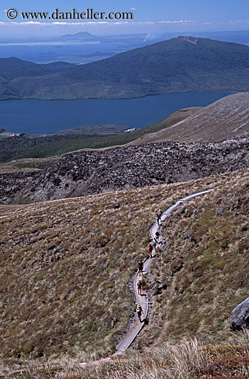 retetahi-track-3.jpg