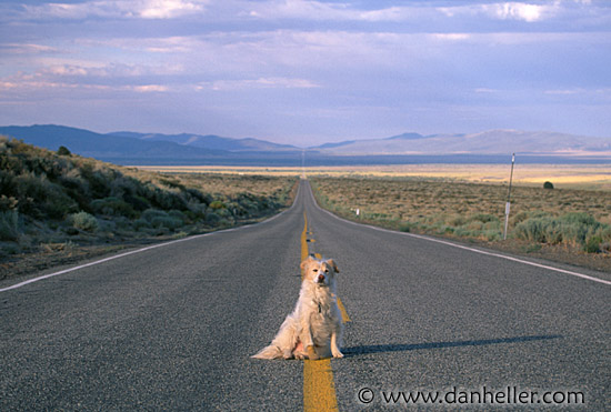 sammy-highway-c.jpg