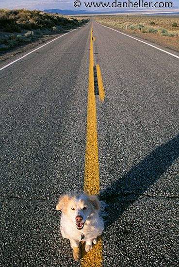 sammy-highway-d.jpg