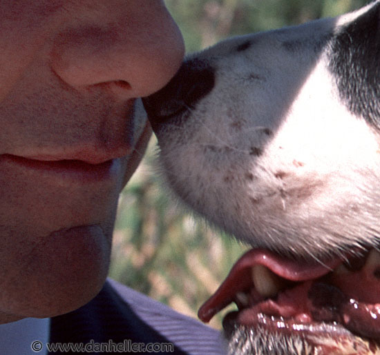 nose-to-nose.jpg