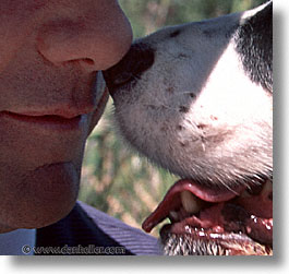images/Topics/Pooches/BeachDogs/Owners/nose-to-nose.jpg