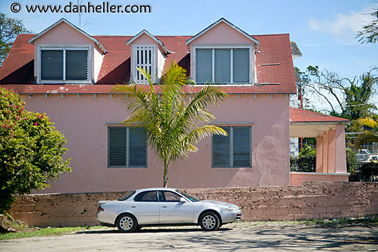 car-tree-house.jpg