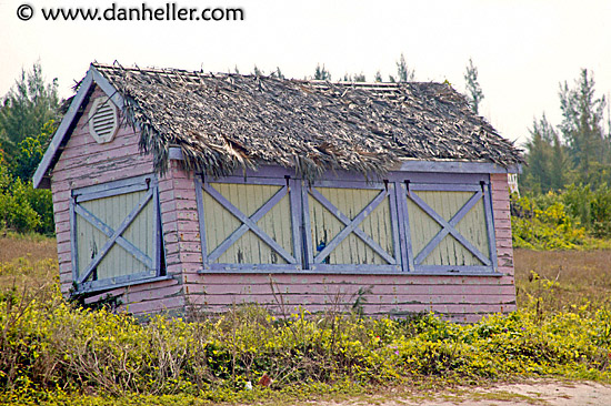 pink-purple-shack-1.jpg