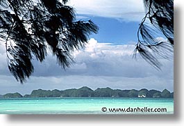 images/Tropics/Palau/Scenics/beach-trees.jpg