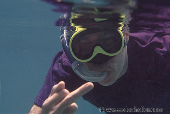 dave-snorkling.jpg