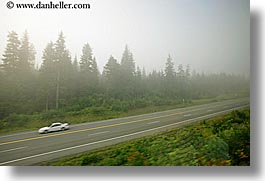 images/UnitedStates/Alaska/Fog/fog-trees-car-highway.jpg