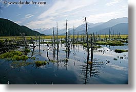 images/UnitedStates/Alaska/Rivers/river-n-mountains-10.jpg