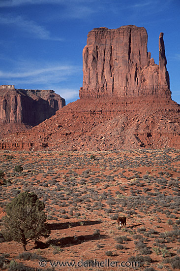 monument-valley-0005.jpg