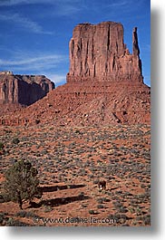 images/UnitedStates/Arizona/MonumentValley/monument-valley-0005.jpg