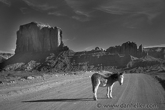 monument-valley-mule-0001.jpg