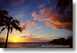 images/UnitedStates/Hawaii/palm-sunset03.jpg