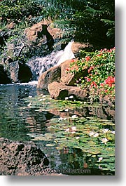 images/UnitedStates/Hawaii/waterfall.jpg