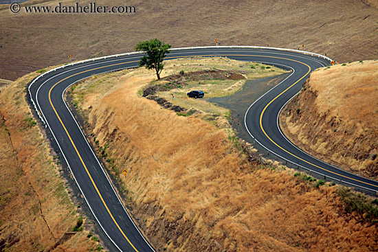 road-winding-around-tree-2.jpg