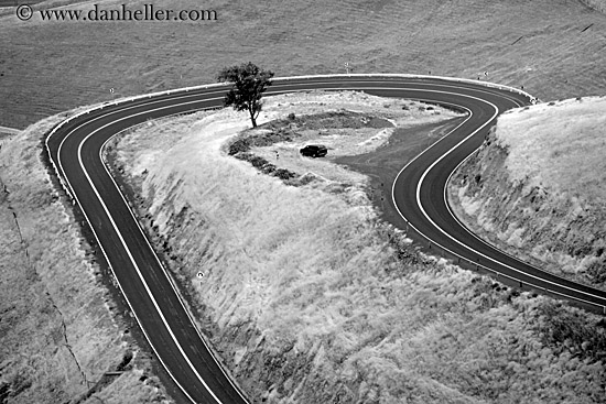 road-winding-around-tree-2-bw.jpg