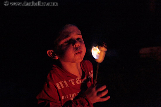 kids-roasting-marshmellows-09.jpg