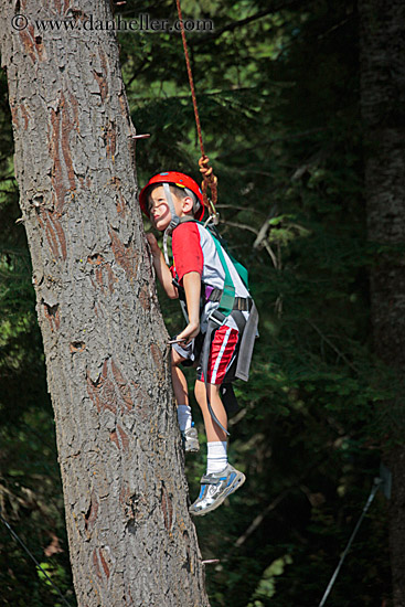 alex-climbing-tree.jpg