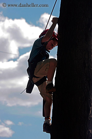 boy-climbing-tree-2.jpg