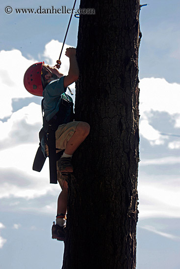 boy-climbing-tree-3.jpg