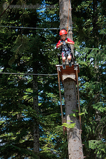 boy-jumping-from-tree-1.jpg