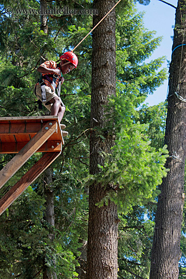 boy-on-tree-ledge-2.jpg