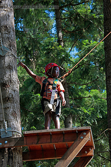 boy-on-tree-ledge-3.jpg