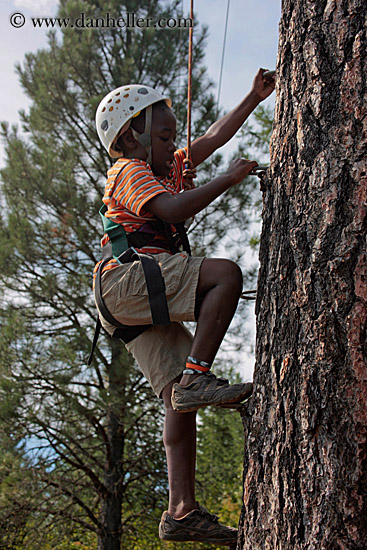 christian-climbing-tree-4.jpg