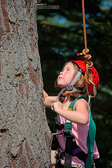 girl-climbing-tree-1.jpg