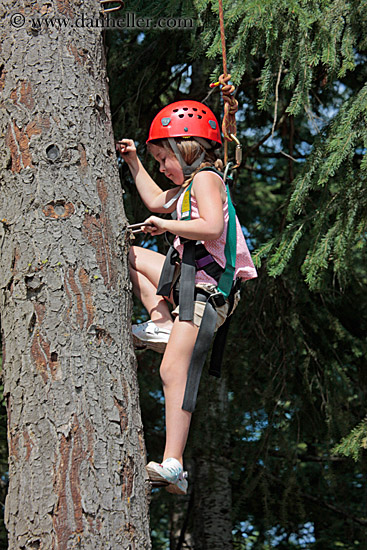 girl-climbing-tree-3.jpg