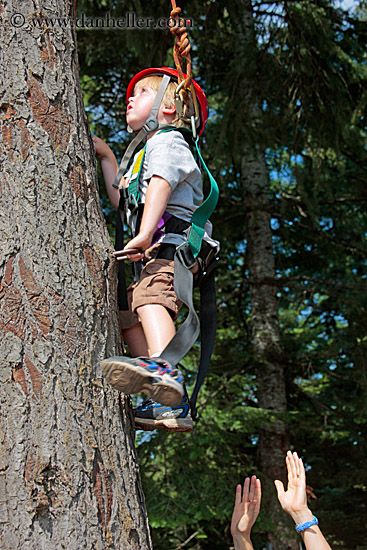 jack-climbing-tree-1.jpg