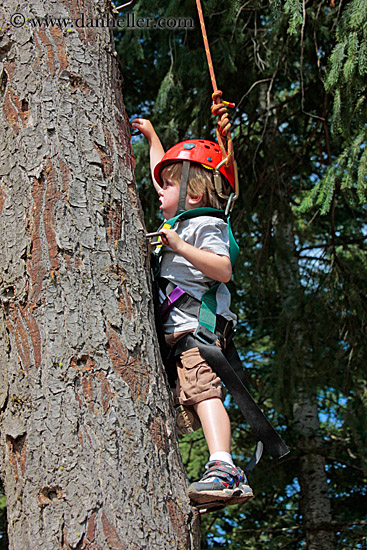 jack-climbing-tree-2.jpg