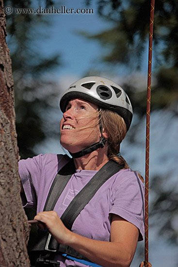 jill-climbing-tree-1.jpg