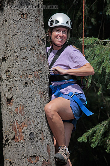 jill-climbing-tree-2.jpg