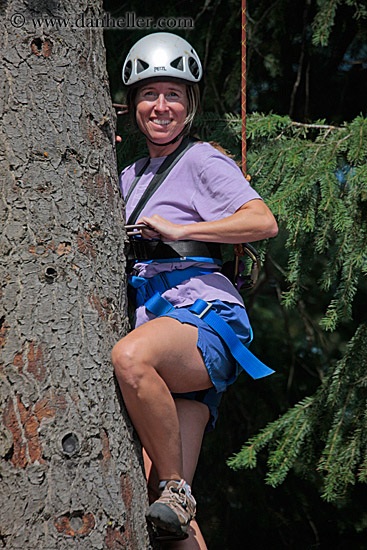 jill-climbing-tree-3.jpg