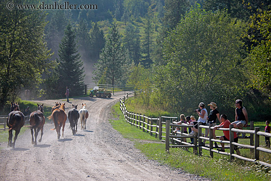 people-watching-horses-1.jpg