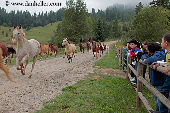 people-watching-horses-3.jpg