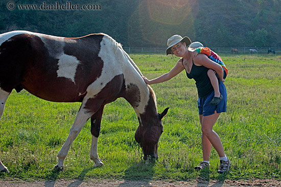 jnj-petting-horse.jpg