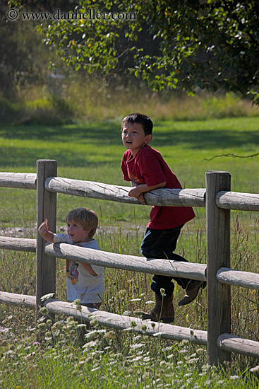 jack-n-alex-on-fence-1.jpg