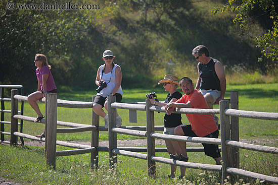 people-on-fence-2.jpg