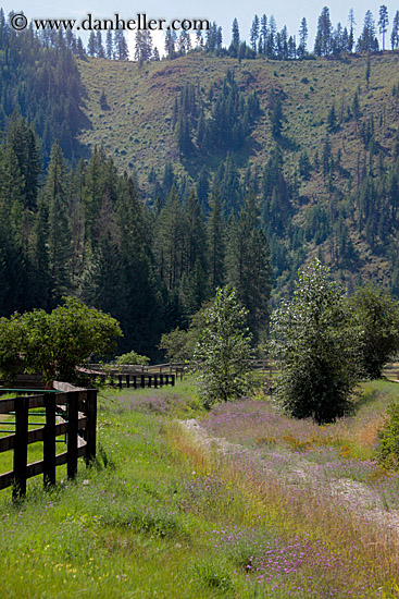 fence-n-tree-mtn.jpg