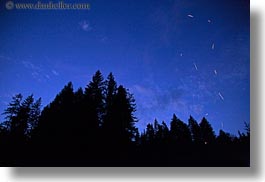 images/UnitedStates/Idaho/RedHorseMountainRanch/Scenics/trees-n-dusk-sky-2.jpg