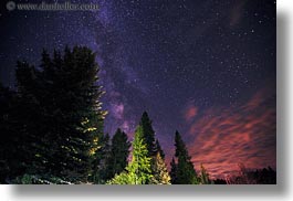 images/UnitedStates/Idaho/RedHorseMountainRanch/Scenics/trees-n-milky-way-1.jpg