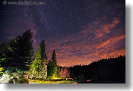 images/UnitedStates/Idaho/RedHorseMountainRanch/Scenics/trees-n-milky-way-2.jpg