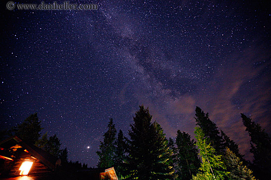 trees-n-milky-way-3.jpg