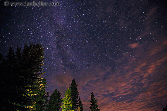 trees-n-milky-way-4.jpg