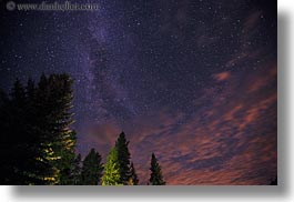 images/UnitedStates/Idaho/RedHorseMountainRanch/Scenics/trees-n-milky-way-4.jpg